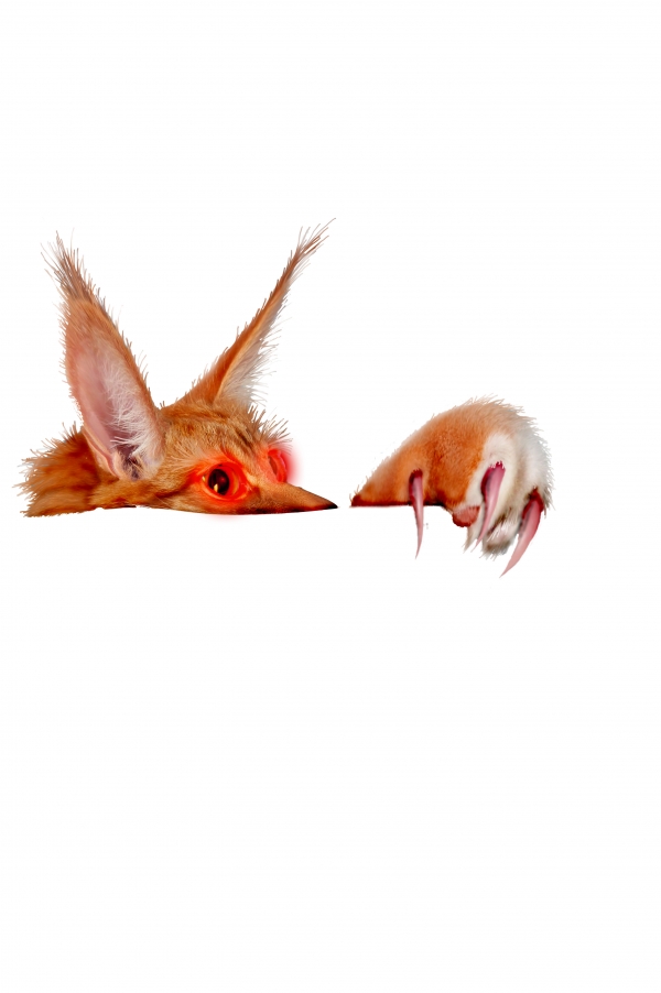 Creation of Catatomic: Step 1
